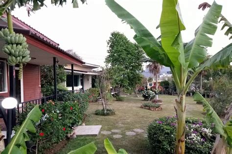 Contoh Landskap Rumah Kampung Hiasan Halaman Rumah Kampung