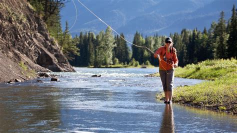 Driftless Fly Fishing A Midwest Fisherman S Paradise