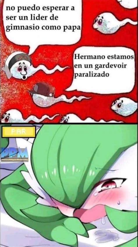 Los Fans De Pokemon Se Pusieron Raros Meme Subido Por El Ditos