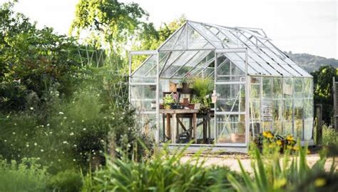 Best Small Greenhouses: 7 Recommended Flowers And 7 Edibles To Grow ...