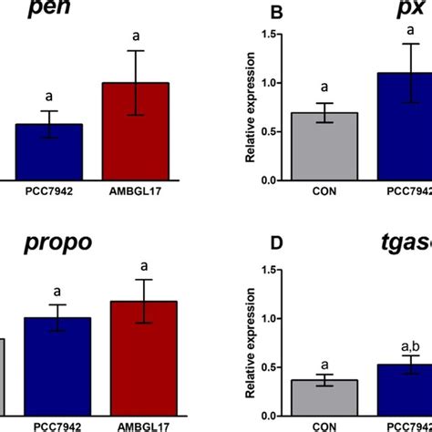 Relative Expression Of Genes Related To Antioxidant Defense System Gpx