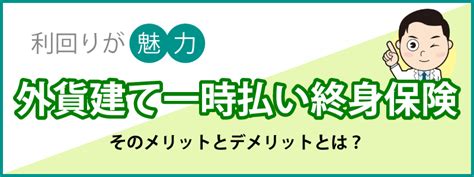 利回りが魅了！【外貨建て一時払い終身保険】 おすすめ保険相談ナビ