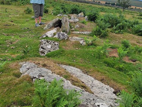 Dartmoor S Daughter Dartmoor National Park All You Need To Know Before You Go