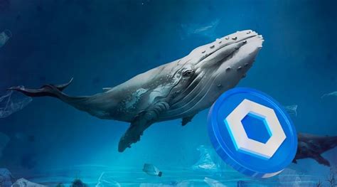 Chainlink Link Sees Over Surge As Whales Fuel Price Momentum