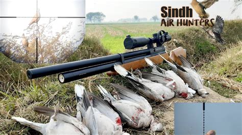 Long Range Dove Hunting Artemis M Pcp Airgun Full Hd Season