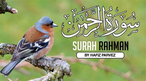 Surah Rahman Al Rehman Heart Touching Full Tilawat Surah Rahman