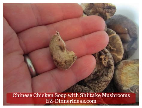 Traditional Chinese Mushroom Chicken Soup with Shiitake Mushrooms