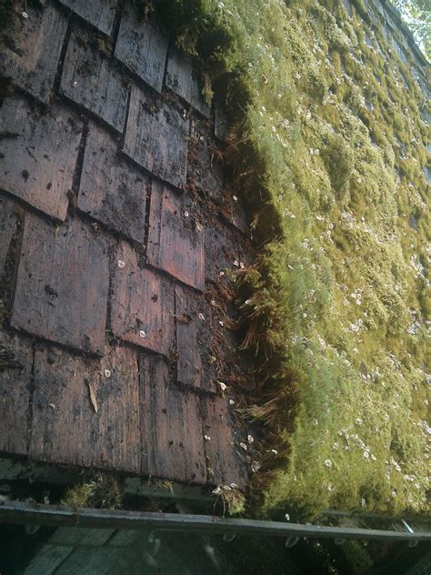 Cedar Roofs Only | Vancouver BC