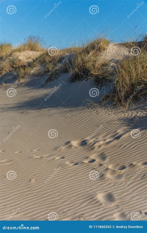 Dunas De Areia Na Praia Pegadas Na Areia Imagem De Stock Imagem De