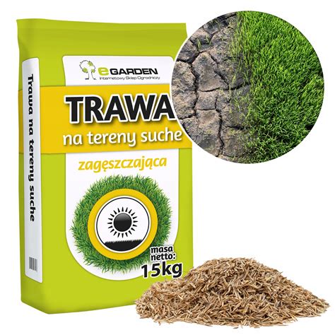 TRAWA NA TERENY SUCHE ODPORNA NA SUSZĘ 15 KG 600M2 13280902644 Allegro pl