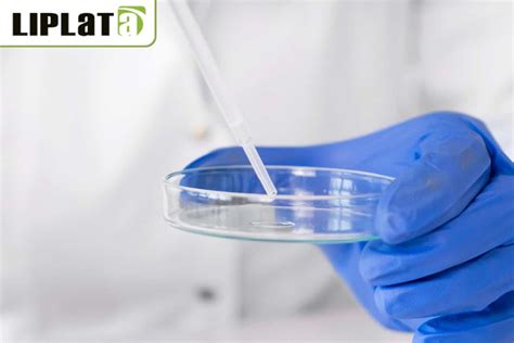 ¿qué Es Un Asa De Inoculación Y Cuál Es Su Uso En Laboratorio