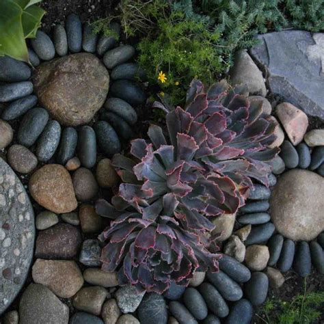 Front Yard Landscaping Ideas With Rocks Inspiration Guide