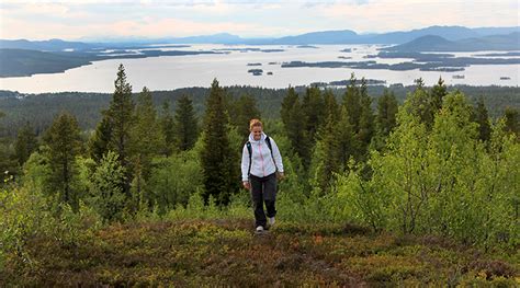 Renberget - Arjeploglapland