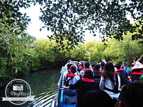 【四草綠色隧道】台灣袖珍版亞馬遜河｜絕美景觀此生必來｜台南輕旅行｜台南景點｜台江公園｜生態旅遊｜台南親子景點 相片中的菲莉絲