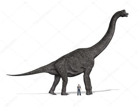 Brachiosaurus size compared to man | Brachiosaurus Size Compared to Man — Stock Photo © AlienCat ...