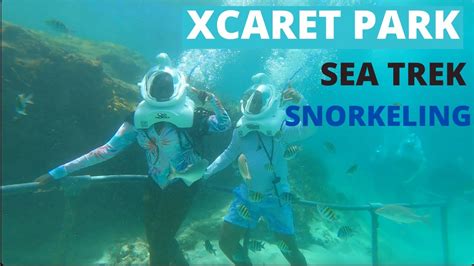 Xcaret Park Sea Trek Snorkeling K Youtube