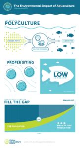 What Is the Environmental Impact of Aquaculture?