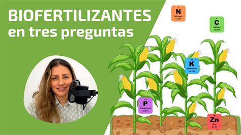 Tres Preguntas Clave Para Entender La Biofertilizaci N Armenia