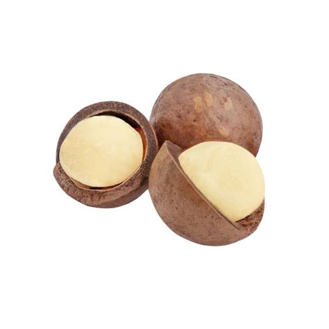 Huile V G Tale De Macadamia Utilisations Et Bienfaits France Min Raux