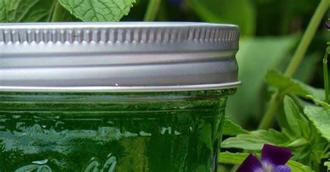 Homemade Mint Jelly Recipe Uses For Mint Jelly Cooking With Mint