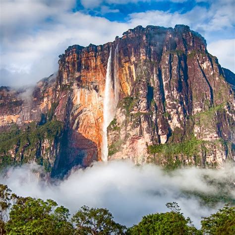 How To Visit Beautiful Angel Falls, Venezuela | Angel falls venezuela ...