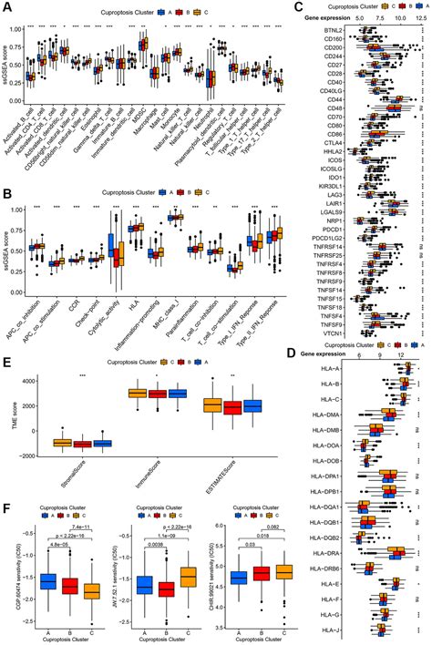 Exploration Of Cuprotosis Related Genes For Predicting Prognosis And