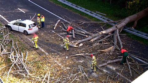 Schade gewonden en files dit richt storm Ciarán aan in Nederland NU nl