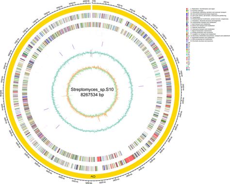 Circular Genome Map Of S10 The Circular Map Consists Of Seven Circles