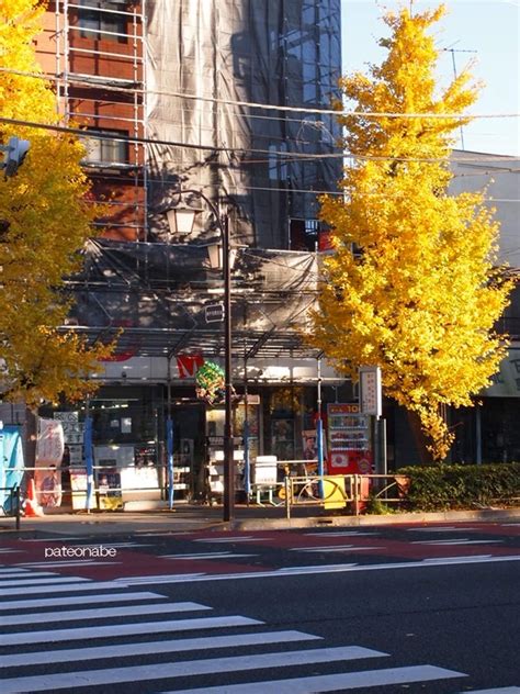 足立区の街散歩 204 「荒川区編」 足立・葛飾区の下町散歩＋「建築写真」