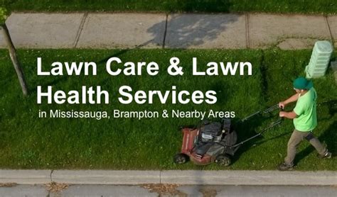 Essentials 7 Step Lawn Care Plan Lawn Care And Maintenance Professionals In Mississauga