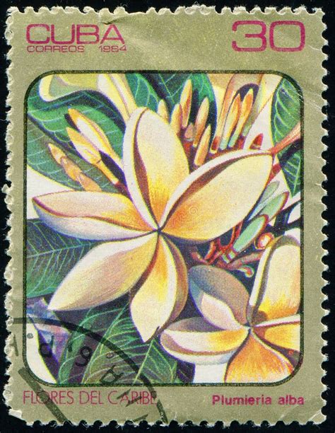 CUBA CIRCA 1984 Stamp 30 Cuban Centavo Printed By Cuba Shows