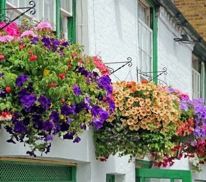 Hanging Balcony Plants And Blooming Flowers For A Spectacular Exterior