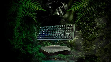 Teclado Gamer Fallen Pantera Preto Tkl Switch Azul Fio