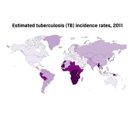 Prevalence Of Tuberculosis In Sub Saharan Africa Ballard Brief