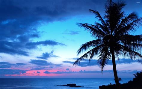 Blue sunset wallpaper - Beach wallpapers - #27271