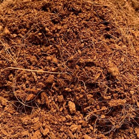 Powder Brown Cocopeat Coir Packaging Type Loose At Rs Kg In New Delhi