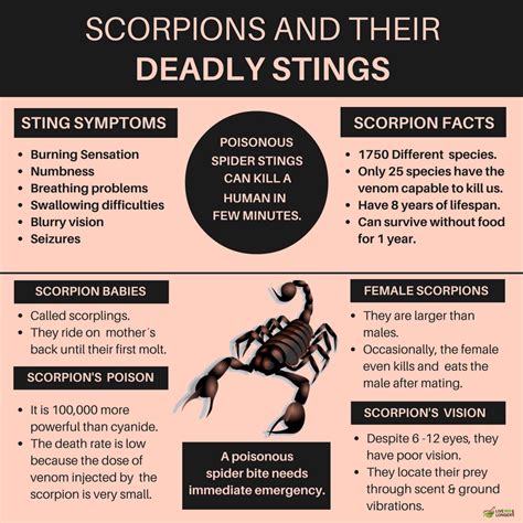 10 Best Home Remedies For Scorpion Stings