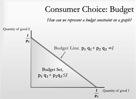 Microecon Consumer Choice Flashcards Quizlet