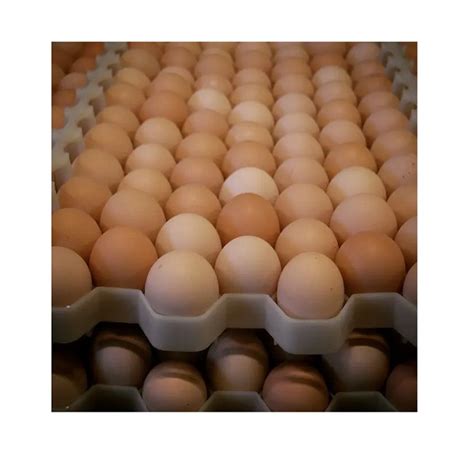 Fresh Chicken Table Eggs Fertilized Hatching Chicken Eggswhite And Brown Broiler Chicken Eggs