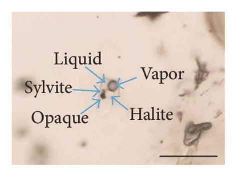 Representative Photomicrographs Of Fluid Inclusions Hosted In Quartz Of