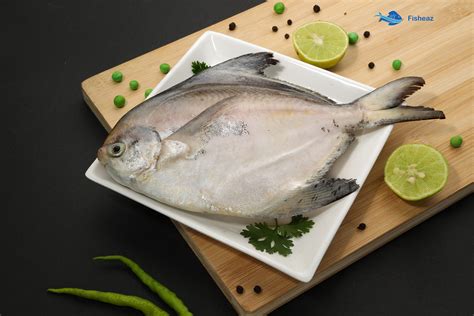 Buy Pomfret Fish | Indian Butter Fish | Paplet Online Hyderabad