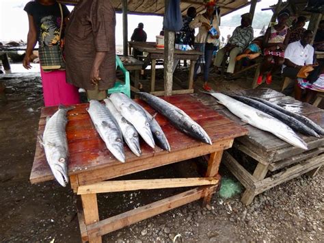 Cameroon Limbe Fish Market Travel2unlimited
