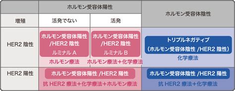 乳がん告知～治療方針の話し合い【her2陽性型でした】 うらなか書房のあやしいグッズあり〼