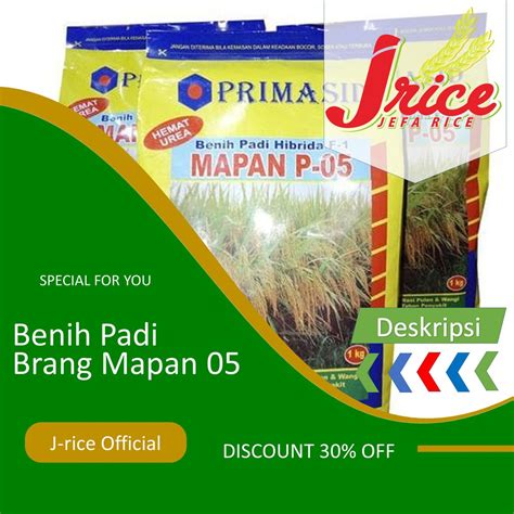 Jual Benih Padi Hibrida Mapan Bibit Padi Unggul Shopee Indonesia