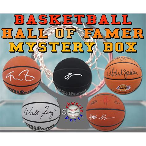 Schwartz Sports Basketball Hall Of Famer Signed Basketball Mystery Box