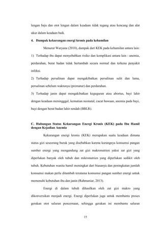 Macam Macam Poster Yang Berisikan Apa Itu Anemia Gizi Besi Pada Bumil PDF