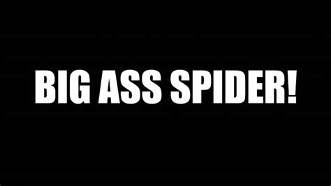 Set Jetter Movie Locations And More Big Ass Spider 2013