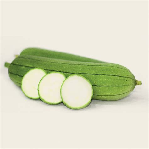 squash moap  fresh produce