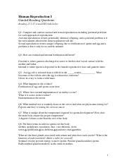 Grq Pdf Human Reproduction I Guided Reading Questions Reading