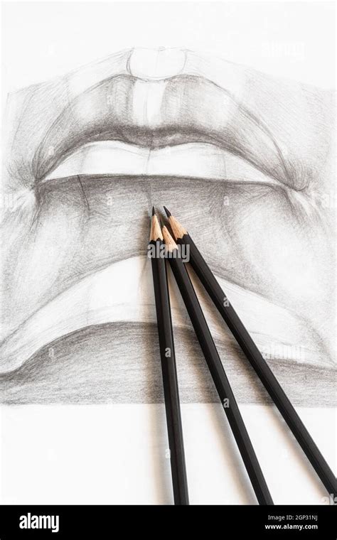 wooden graphite pencils on hand-drawn academic drawing of male lips ...